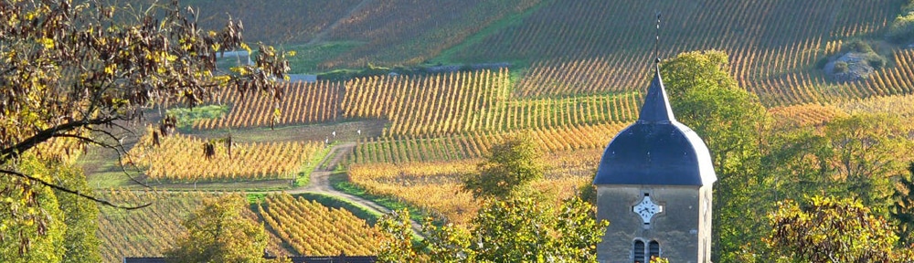 Dégustation des vins de Bourgogne du domaine Georges Roumier