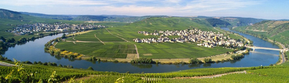 Vin blanc de Moselle allemande : Riesling du Dr Loosen 2011
