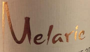 Dégustation du vin rouge de Saumur-Champigny Mélaric Billes de Roche 2006