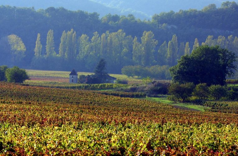 Vignoble de Cahors, Sud-Ouest