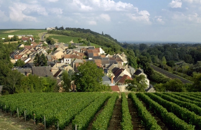 La Vallée de la Loire et ses vins