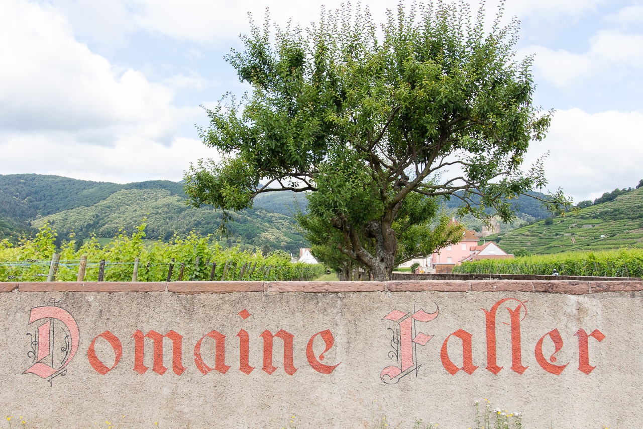 Feuilleton de l’été : L’Alsace et sa route des vins 4/10 – Domaine Weinbach – Kaysersberg