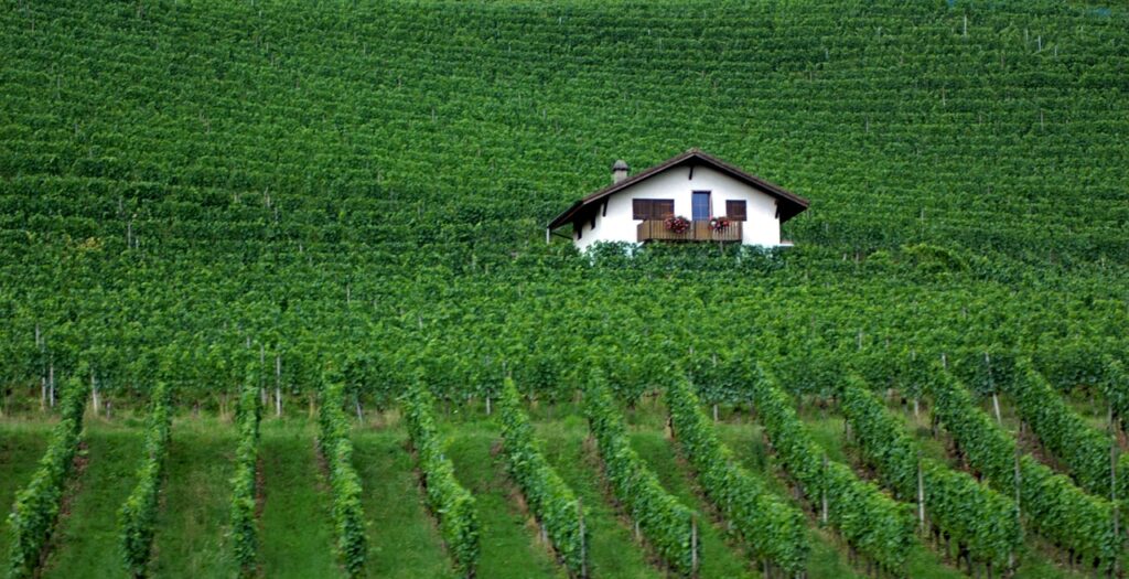 Région de vin suisse