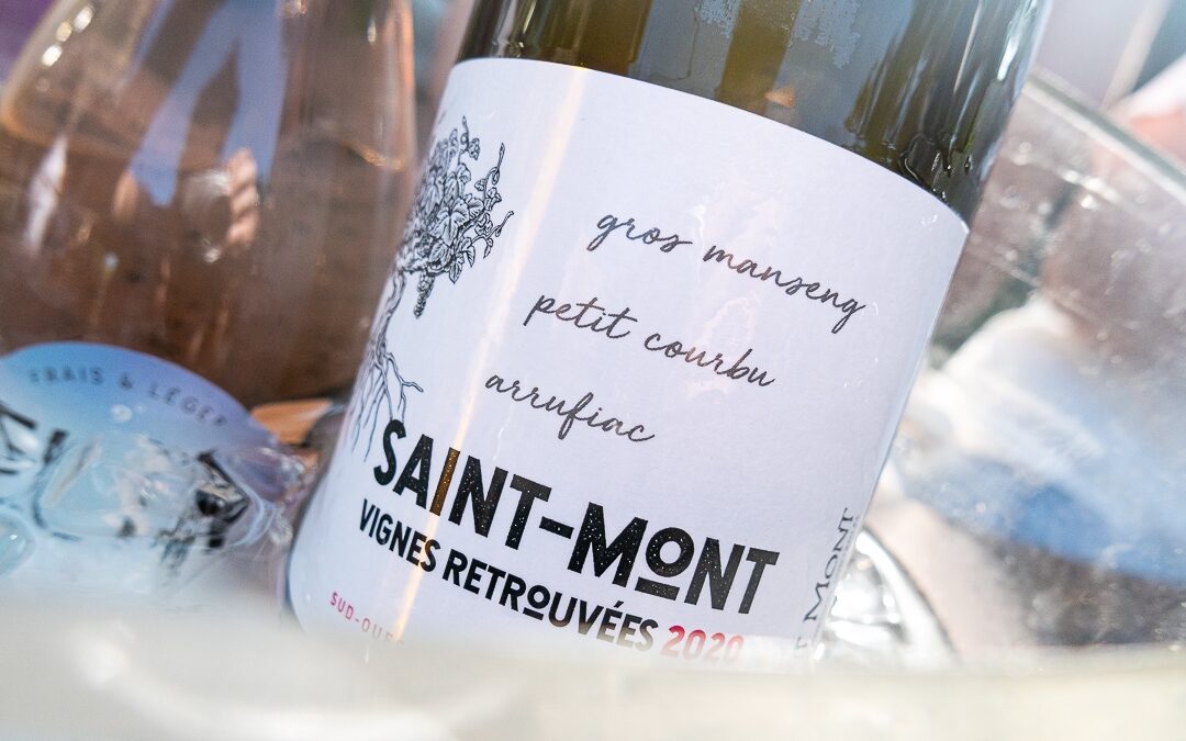 A la découverte des vins de Plaimont 2/3 : Dégustation des vins de Saint-Mont et IGP Côtes de Gascogne