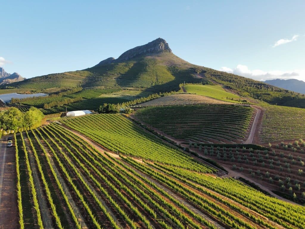 Paysage de Stellenbosch