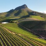 Paysage de Stellenbosch