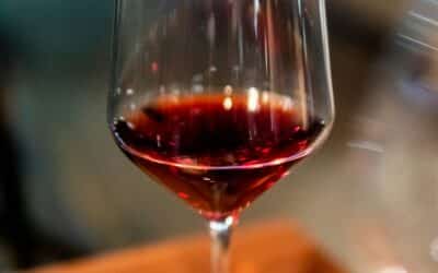 Voyage le long des plus grands vins rouges de Bourgogne