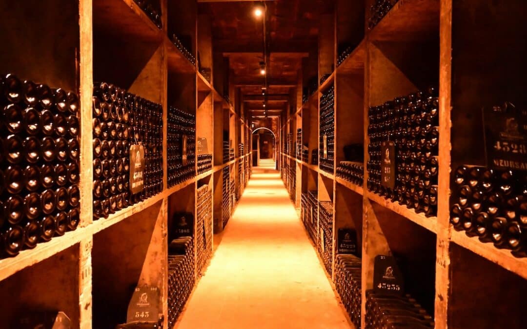Une grande cave à vins