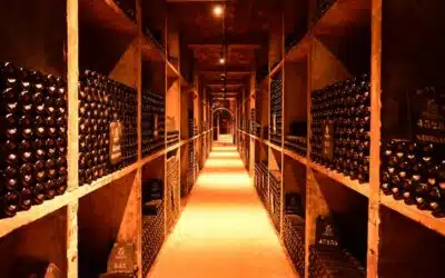 Comment gérer efficacement votre cave à vin